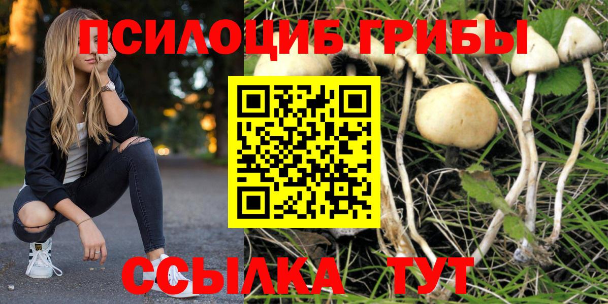 Галлюциногенные грибы ЛСД Верхний Уфалей