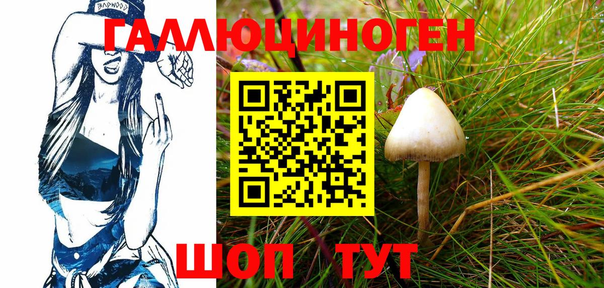 Псилоцибиновые грибы Psilocybe  Галлюциногенные грибы Psilocybine cubensis  Верхний Уфалей  закладка  Вход с VPN 